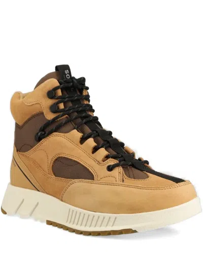 Sorel Lace-up Sneakers In Brown