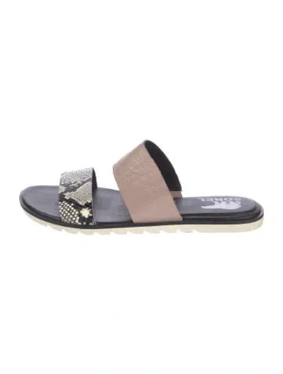 Pre-owned Sorel Leather Animal Print Slides In Neutral