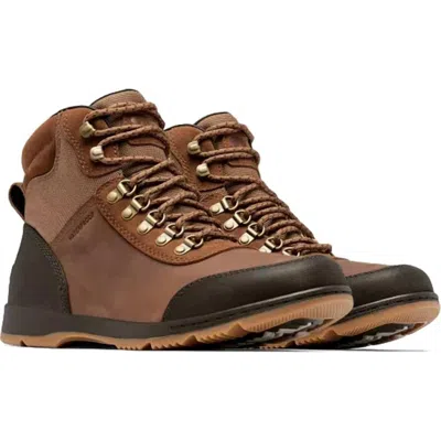 Sorel Men's Ankeny Waterproof Hiker Boot In Velvet Tan In Brown