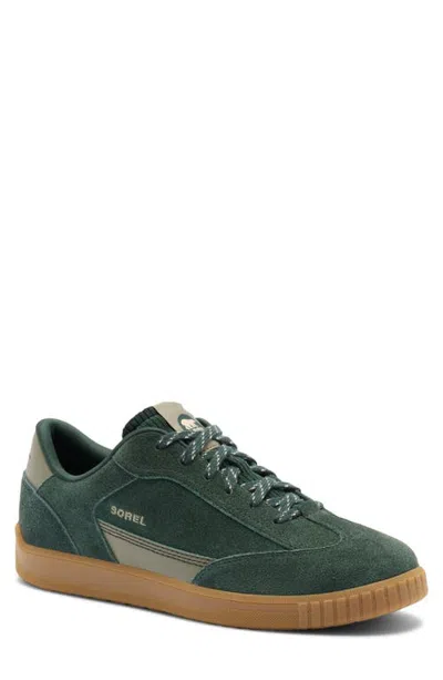 Sorel Ona Drift Lace-up Sneaker In Animal Print
