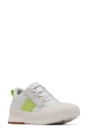 Sorel Out N About Waterproof Low Top Sneaker In Sea Salt/tippet