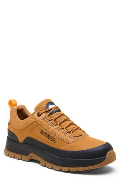 Sorel Outing Nw™ Low Waterproof Sneaker In Brown