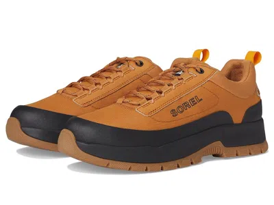 Sorel Outing Nw Sneaker Low Waterproof In Brown
