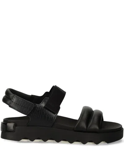 Sorel Padded Strap Sandals In Black
