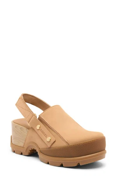 Sorel Roam'n Rbr Clog In Brown