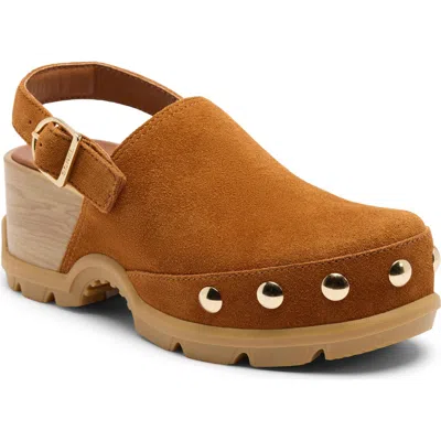 Sorel Roam'n Rvt Clog In Brown