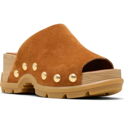 Sorel Roam'n Slide Platform Sandal In Brown