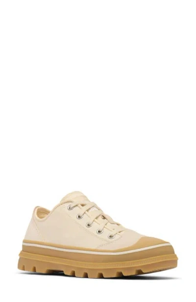 Sorel Scout N About™ Low Sneaker