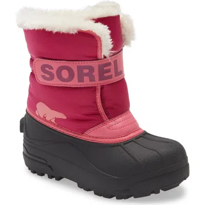 Sorel Snow Commander Insulated Waterproof Boot In Tropic Pink/deep Blush