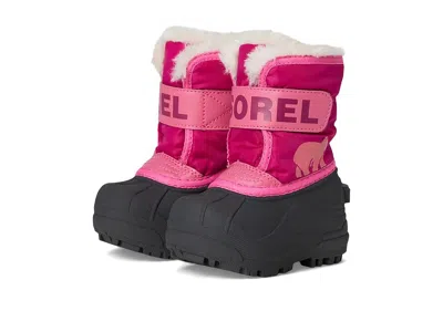 Sorel Snow Commander (toddler) Kids Shoes Tropic Pink/deep Blush : 7 Toddler M, Synthetic