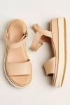 Sorel Sunpeak Ankle Strap Platform Sandal In Multi