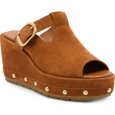 Sorel Sunpeak Studded Platform Wedge Sandal In Brown