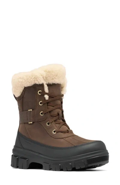 Sorel Tivoli Iv Parc Genuine Shearling Waterproof Boot In Brown