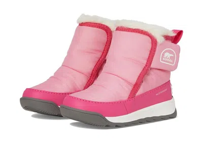 Sorel Whitney Ii Plus Bootie Wp (big Kid) Kids Shoes Blooming Pink/nico : 6 Toddler M, Rubber