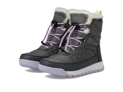 Sorel Whitney Ii Plus Lace Wp (little Kid/big Kid) Kids Shoes Quarry/lavender Cloud : 6 Big Kid M In Animal Print