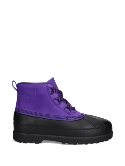 Sorel X Needled Ambler Chukka Boots In 퍼플
