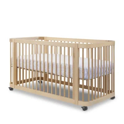 Sorelle Eternity Plus 5-in-1 Crib In Natural