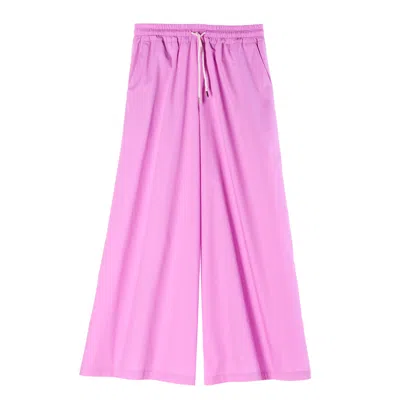 Soul Kathrine Women's Pink / Purple Zou Pants Violet