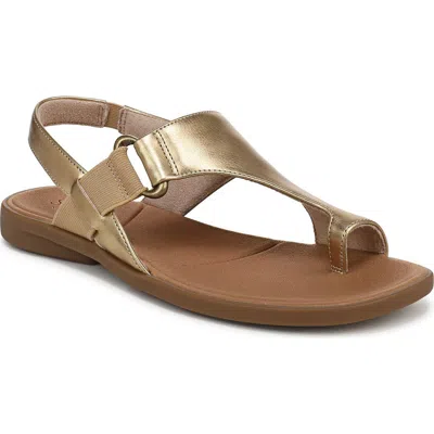 Soul Naturalizer Freya Sandal In Brown