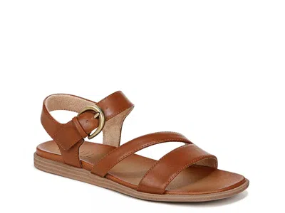 Soul Naturalizer Jayvee Sandal In Brown