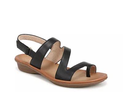 Soul Naturalizer Shakina Sandal In Black