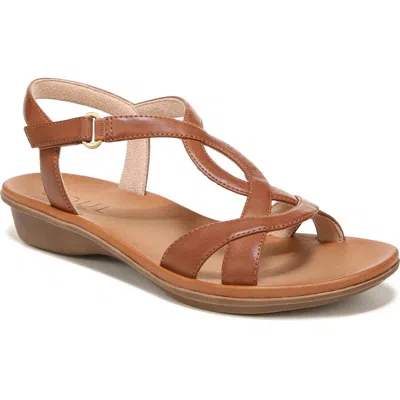 Soul Naturalizer Solo Womens Strappy Strappy Sandals In Brown