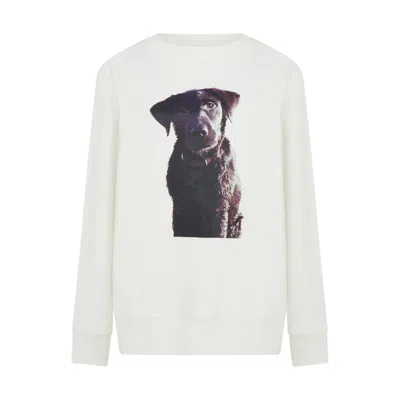 Sour Figs Women's Labrador Puppy Print Unisex Sweatshirt In White