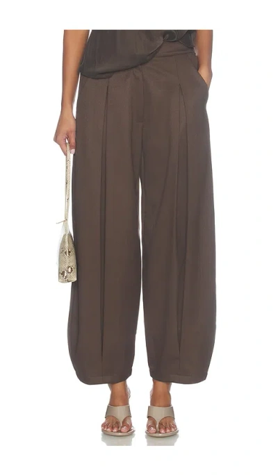 Source Unknown Mika Tuck Trousers In Brown