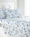 South Shore Linens French Country Cotton Sheet Set
