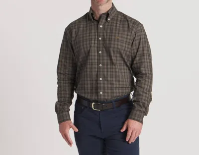 Southern Marsh Barnstable Lines Performance Dress Shirt In Multistone Brown & Black In Green