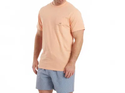Southern Marsh Flying Ducks Tee In Washed Sherbet In Multi