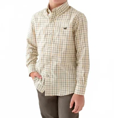 Southern Marsh Kids' Youth Chateau Windowpane Dress Shirt In Oatmeal & Stone Brown In Multi