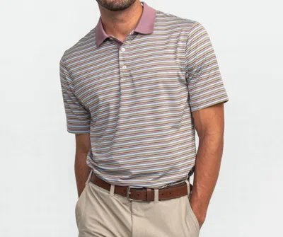Southern Shirt Company Tucker Stripe Polo Shirt In Dorado In Multi