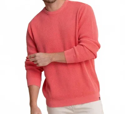 Southern Tide Carrington Garment Dyed Crew Sweater In Snapper In Orange
