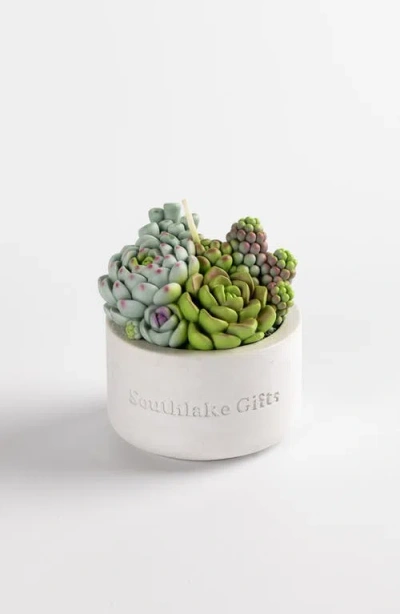 Southlake Gifts Assorted Succulent Candle With Concrete Vessel In Light Gray/off-white