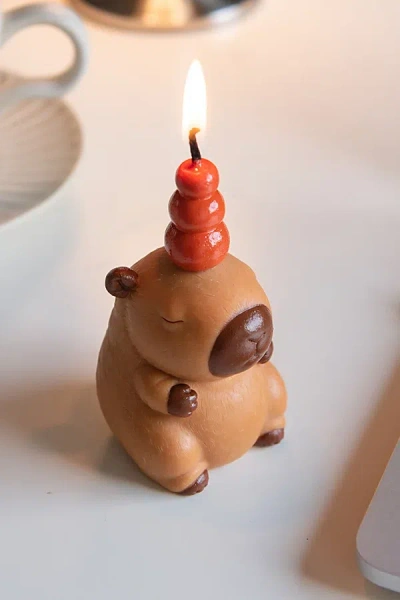 Southlake Gifts Capybara Candle In Tan/brown At Urban Outfitters