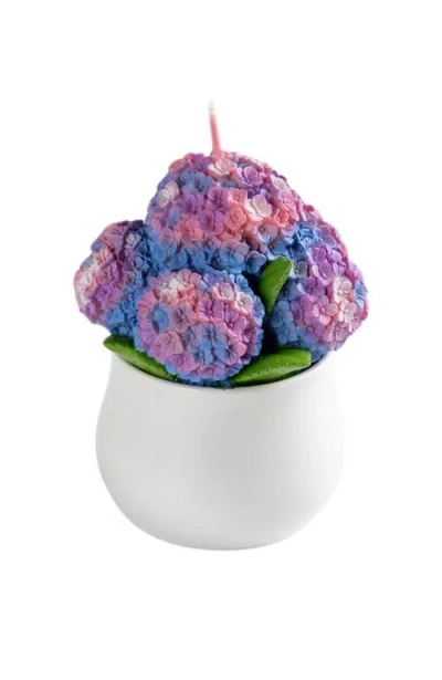 Southlake Gifts Hydrangea Candle