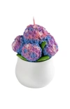 Southlake Gifts Hydrangea Candle In Multi