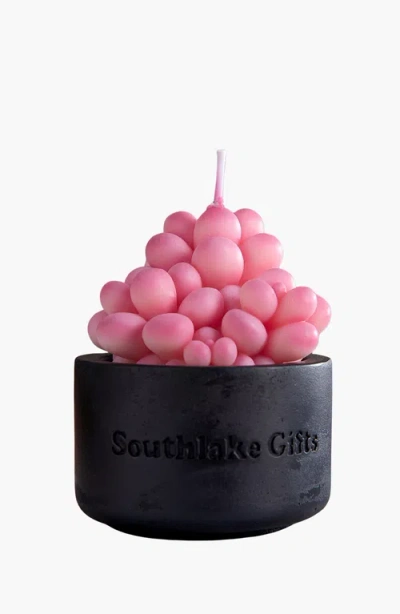 Southlake Gifts Moonstones Succulent Scented Candle In Pink Moonstones
