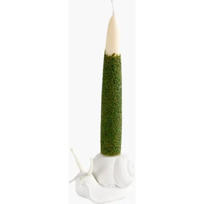 Southlake Gifts Taper Scented Candle And Snail Candle Holder Set In Multi