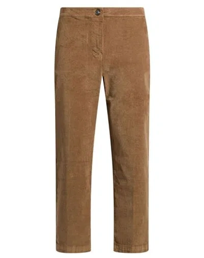 Souvenir Woman Pants Camel Size M Cotton, Elastane In Brown