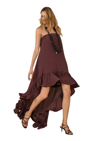 Souvenir Women's Dress  With Rouches In Brown