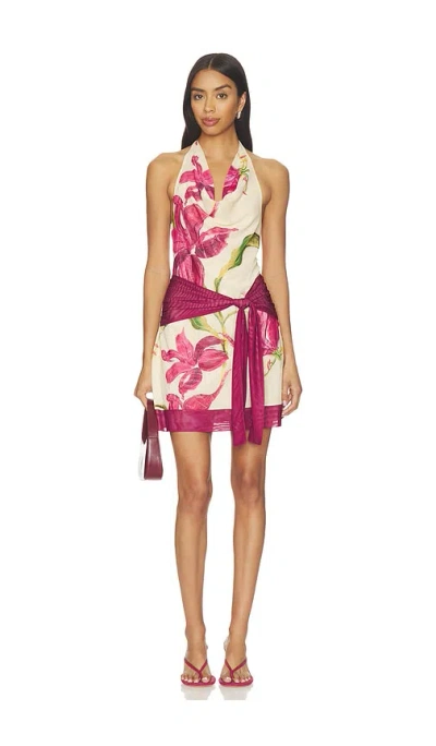Sovere / Azalea Mini Dress In Purple