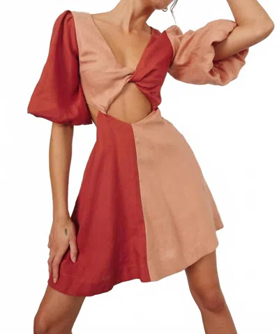 Sovere / Duet Mini Dress In Pink Spice In Multi