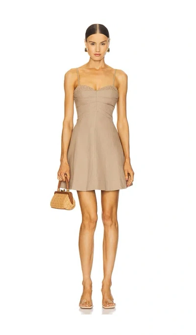 Sovere / Savaya Mini Dress In 深咖啡色