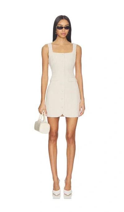 Sovere / Volition Long Line Dress In Neutral