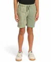 Sovereign Code Little And Big Boys Fleece Print Blocked Shorts