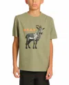 Sovereign Code Big Boys Short Sleeve T-shirt In Sage