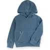 Sovereign Code Spider Hoodie In Coronet Blue