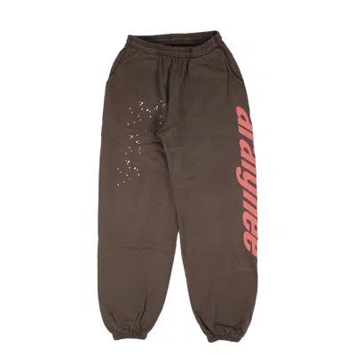 Sp5der Araignee Sweatpant In Brown